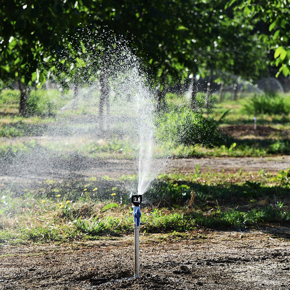 LFX600 Field Action 4