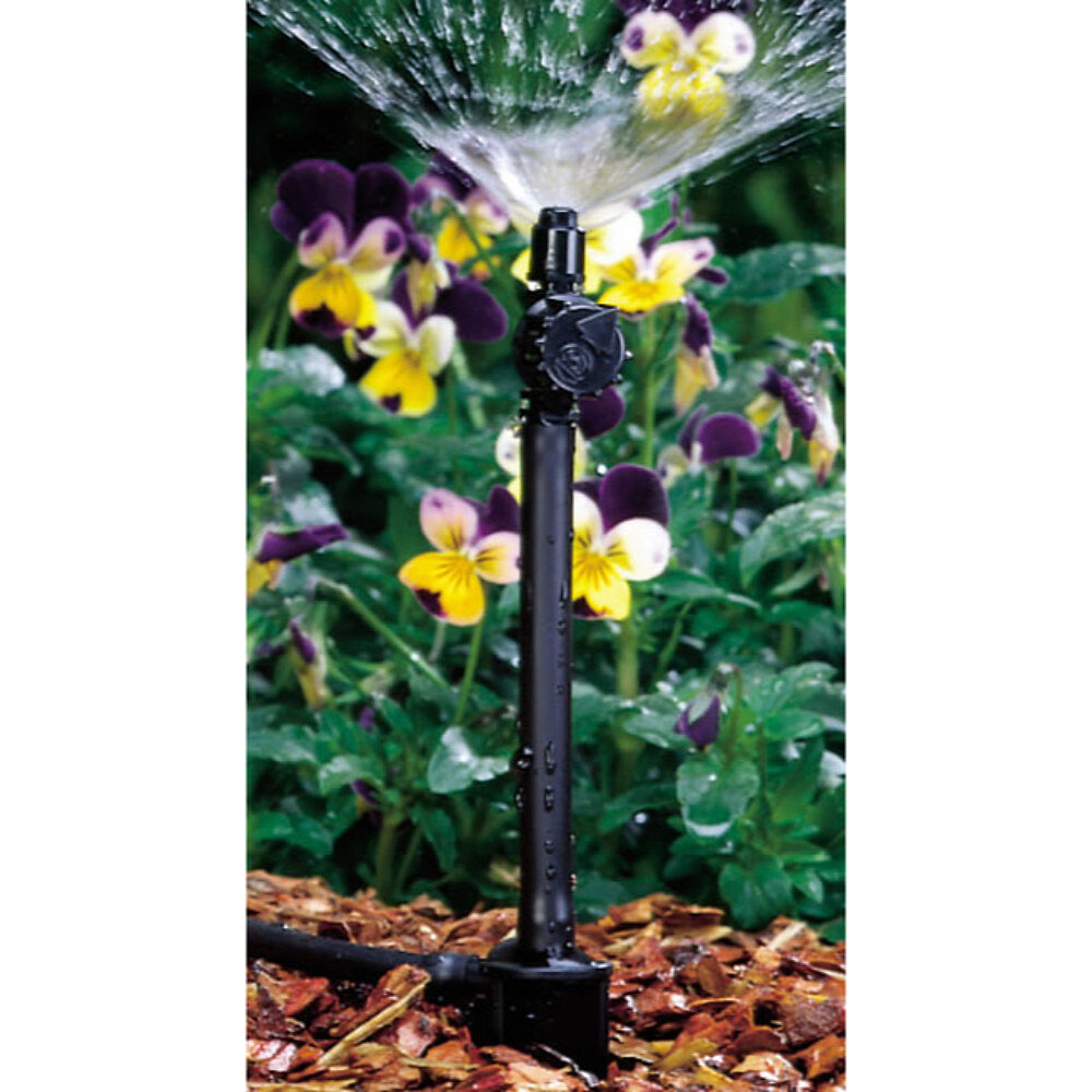 Riser Stake Beauty