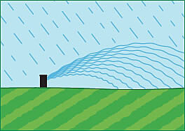 Watering during rainy weather