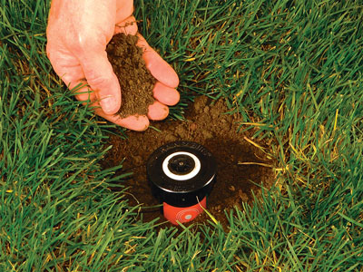 replace dirt