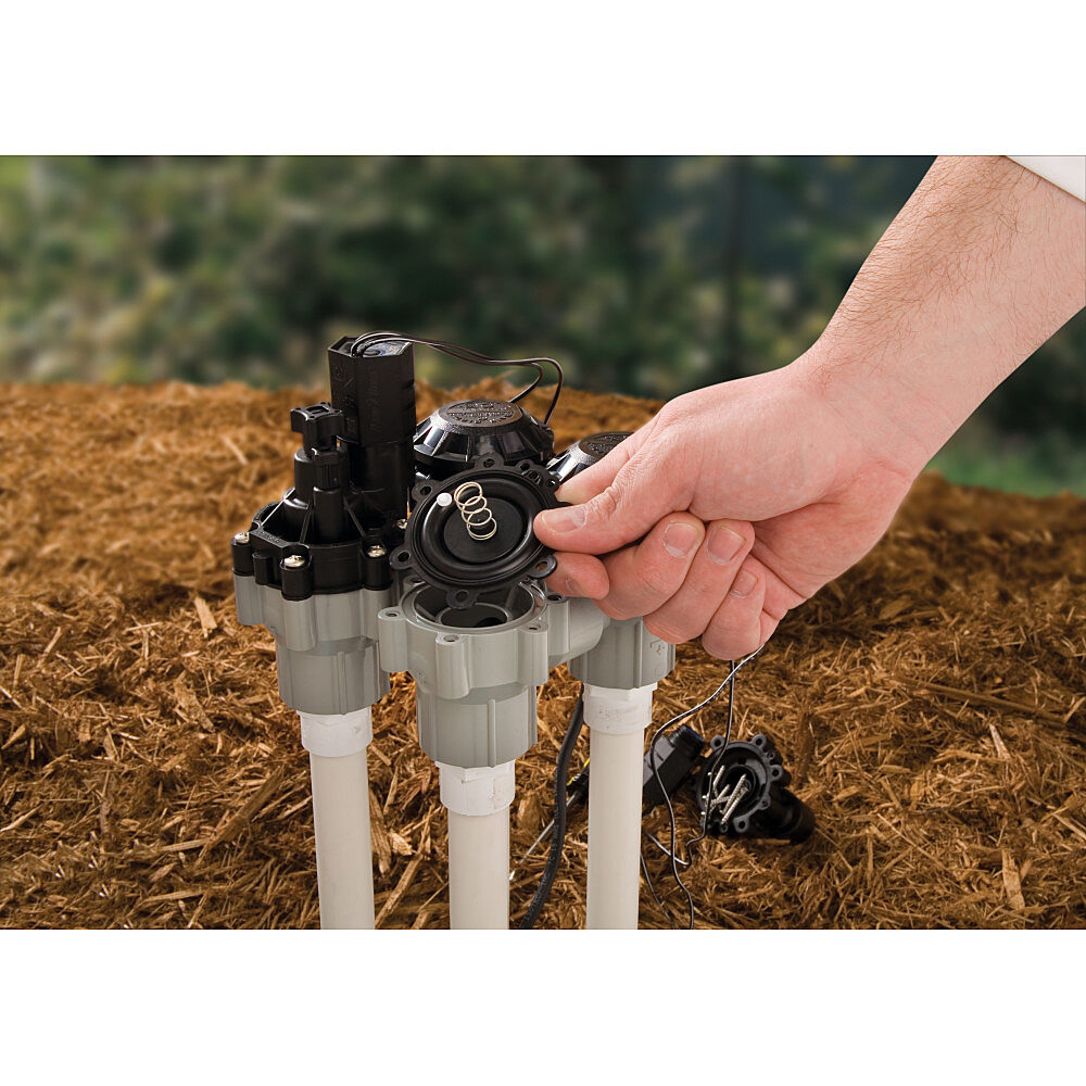 Rain Bird 1" Anti-Siphon Valve w/ Flow