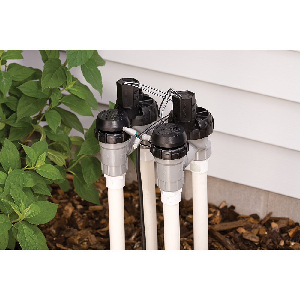 Rain Bird 1" Anti-Siphon Valve w/ Flow