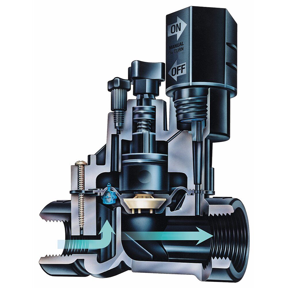 DVF cutaway