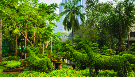Ho Chi Minh City, Vietnam - Site Report Thumbnail