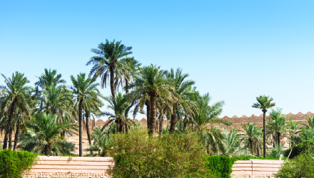 Prince Mohammad Bin Fahd University, Saudi Arabia Site Report Thumbnail