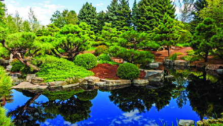 Denver Botanic Gardens, Denver, Colorado - Site Report Thumbnail