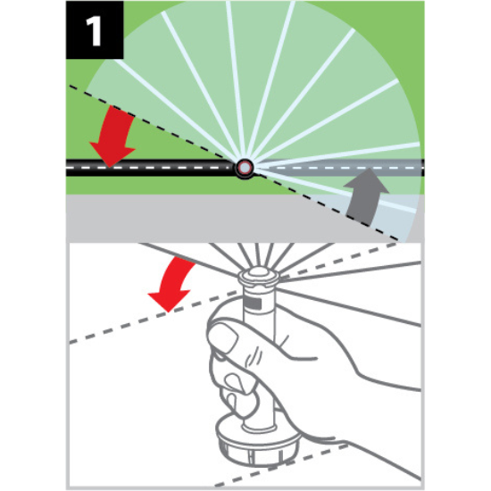22SA International Step 1