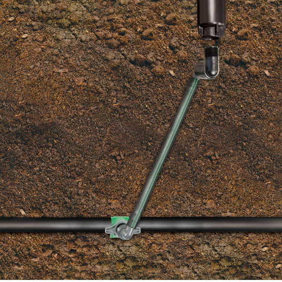 SA Swing Pipe International beauty