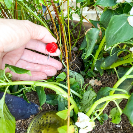 Spot Watering Emitter beauty2