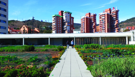 Cubierta Rooftop Urban Nursery, Barcelona, Spain Site Report