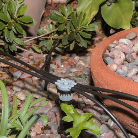 6-Outlet Drip Manifold Lifestyle