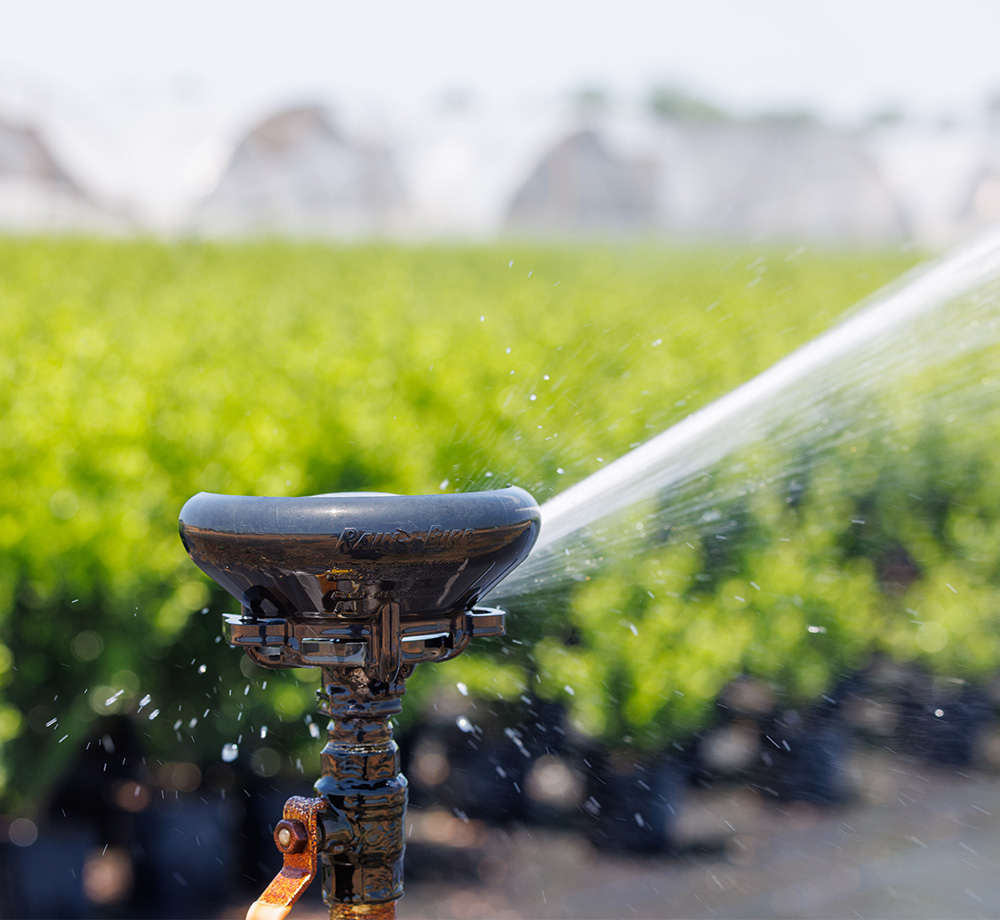 LF Sprinkler in use