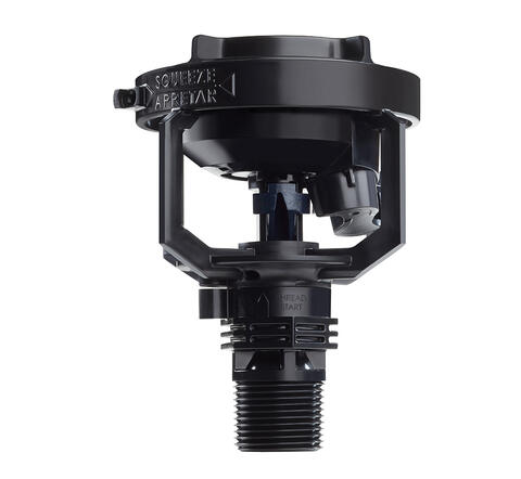LF2 400LR NPT Adapter