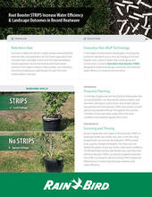 Root Booster Strips Case Study Cover