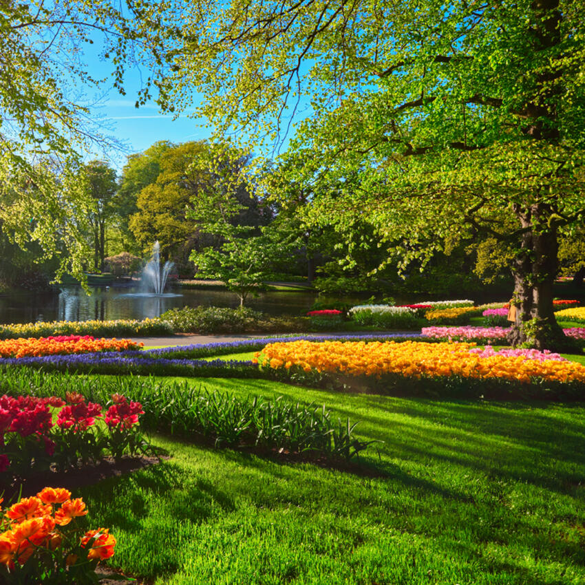 Colorful garden