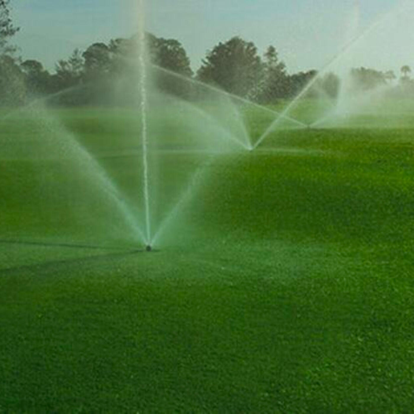 Sprinklers on golf course