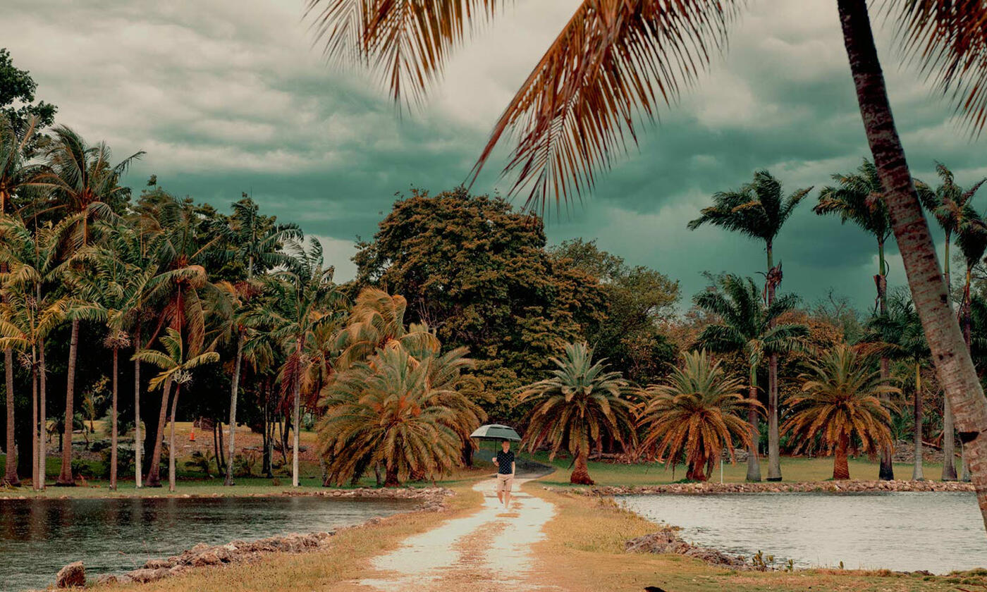Miami Palmetto